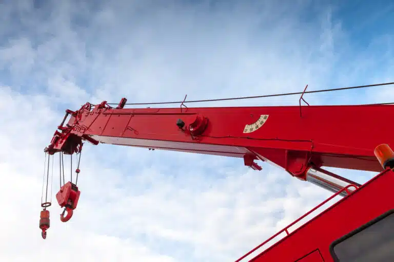 Close-up Of A Red Crane